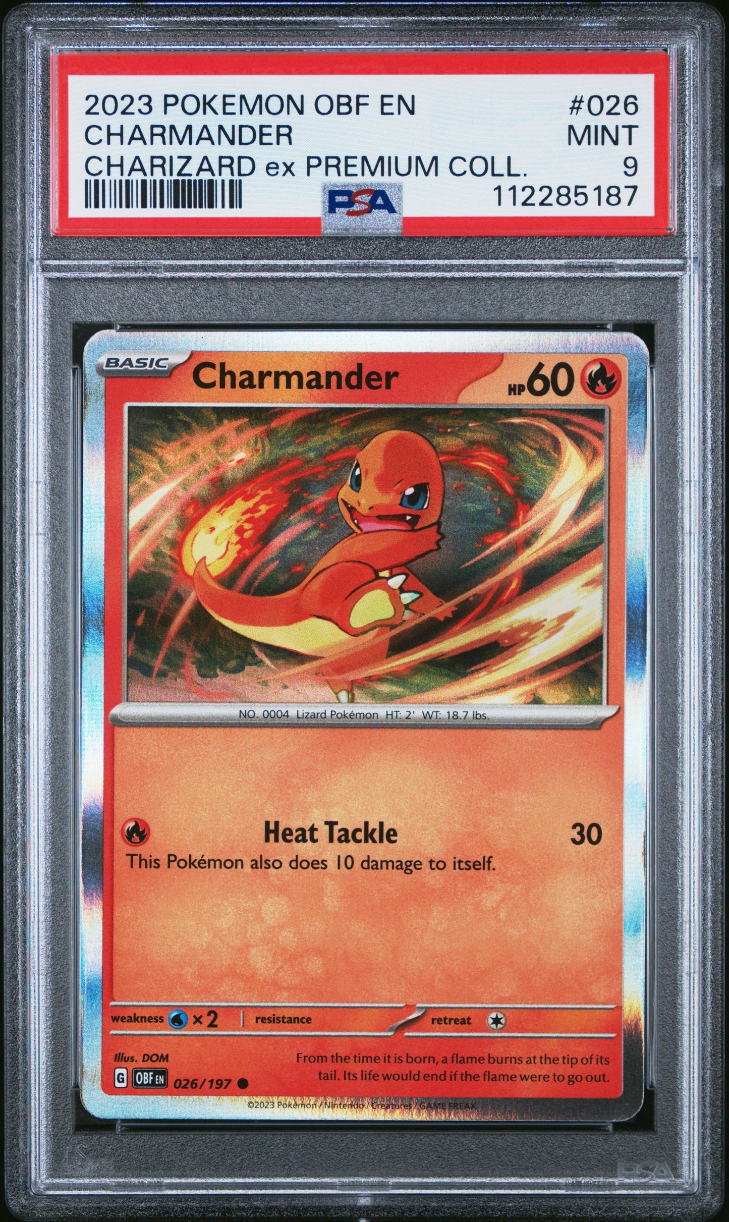 2023 Pokemon OBF #026 Charmander Charizard Ex Premium Collection PSA 9