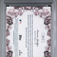 2026 Bowman Crystallized #BWC-8 Aaron Judge Gold Refractor #'d 1/50 *Bookend* PSA 8